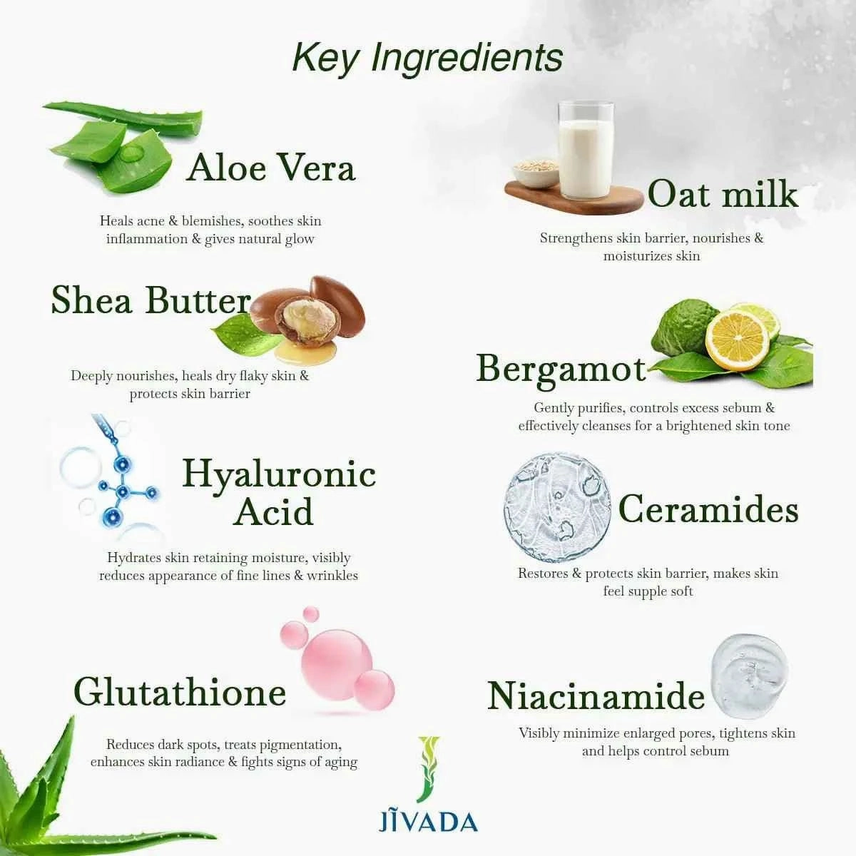 AMEYAA Hydrating Moisturizer