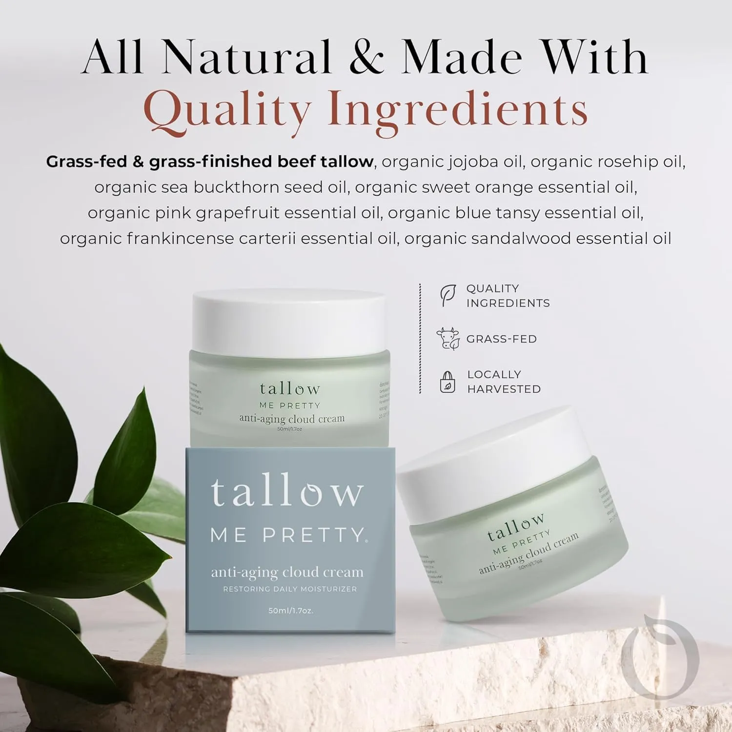Anti-Aging Cloud Cream, Powerful Anti Aging Face Cream for Women, Minimizes Visible Aging, Improves Overall Texture & Boosts Skin Elasticity, Powered by Essential Fatty Acids, 1.7 Oz