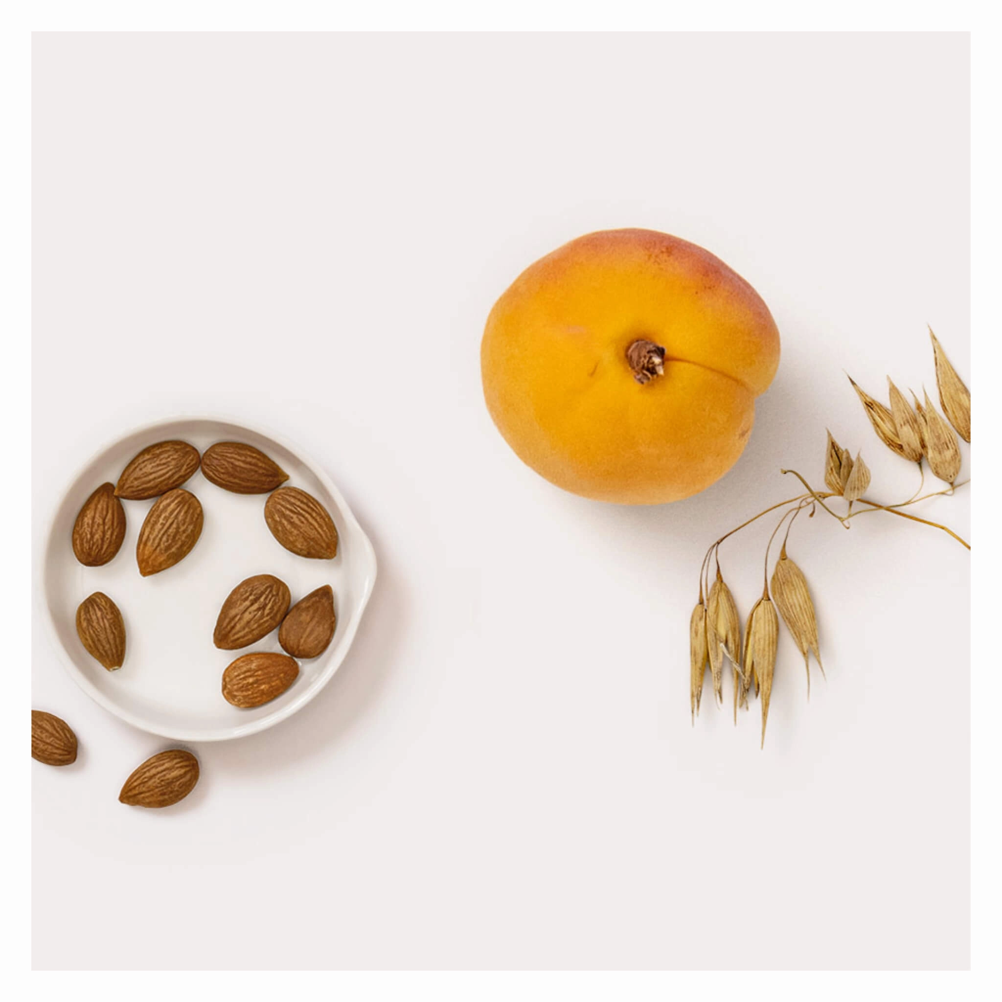 Apricot Day Cream