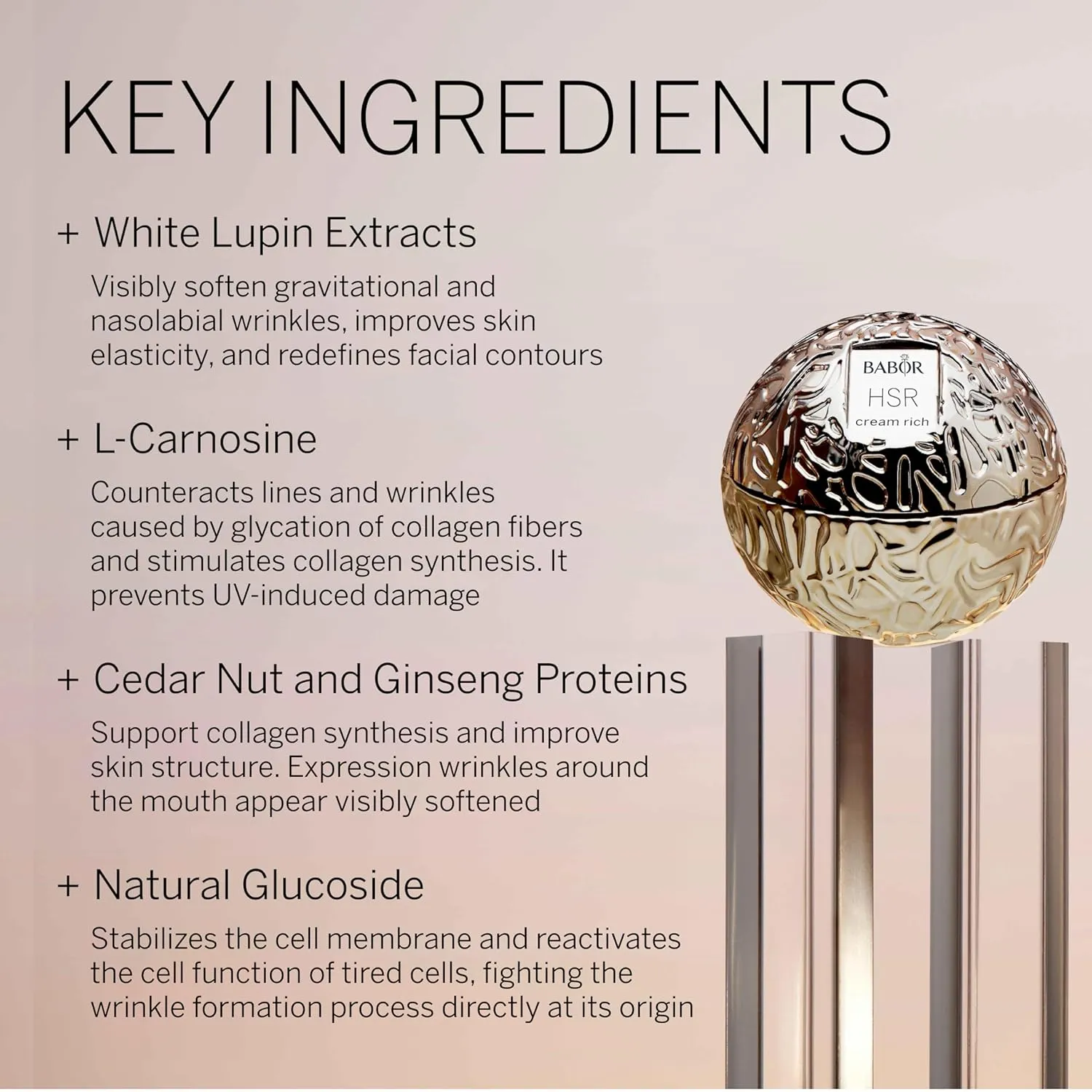BABOR HSR Lifting Anti Wrinkle Cream Rich, Anti Aging Night Cream, Target Fine Lines, Vitamin E Strengthens Increasing Moisture and Improving Radiance, Daily Moisturizer for Smoother Skin, 1.7 oz