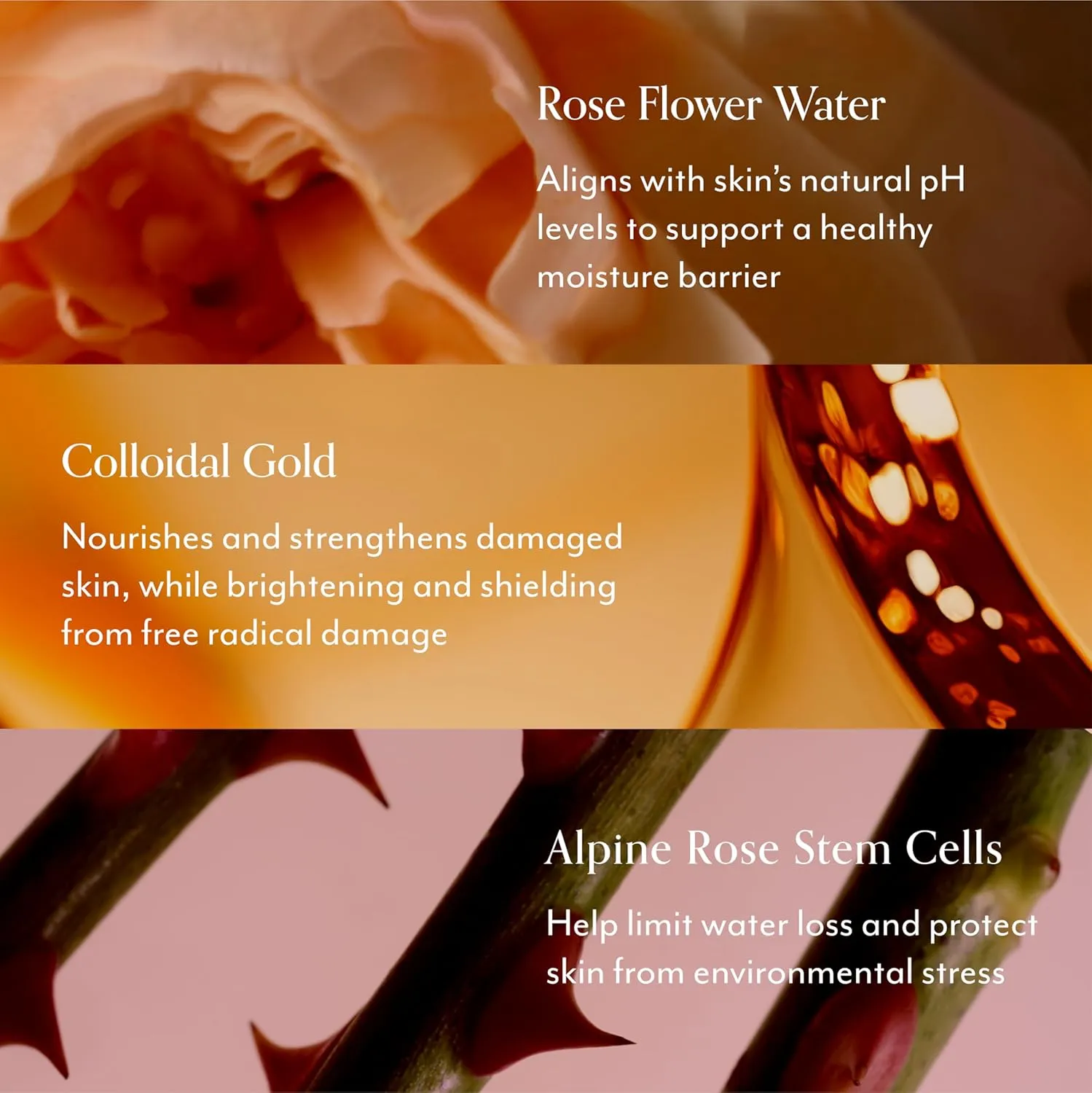 Bliss Rose Gold Rescue Gentle Moisturizer for Sensitive Skin | Fragrance-Free, Calming Daily Hydration with Rose Water & Colloidal Gold| 1.7 oz