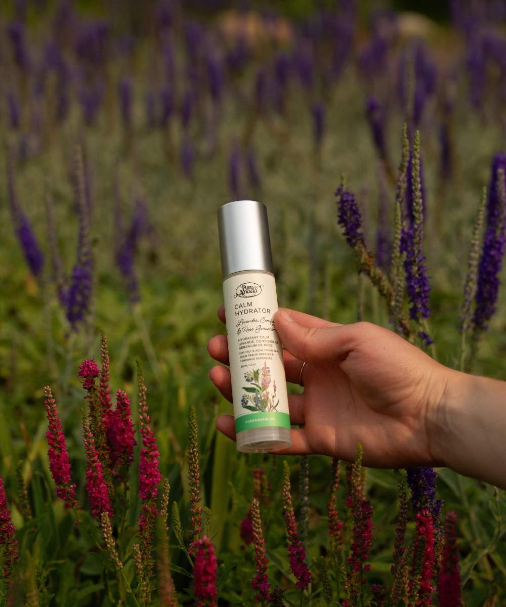 Calm Hydrator - Lavender, Comfrey, Rose Geranium