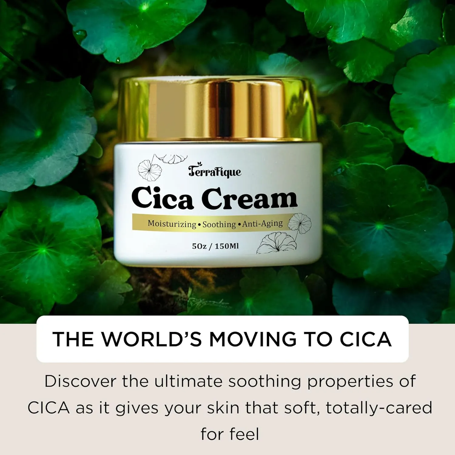Cica Cream for Women - Centella Asiatica Moisturizer - Anti Wrinkle Face Cream - Anti Aging, Hydrating, Moisturizing - 5 Oz / 150 Ml (1 Pack)