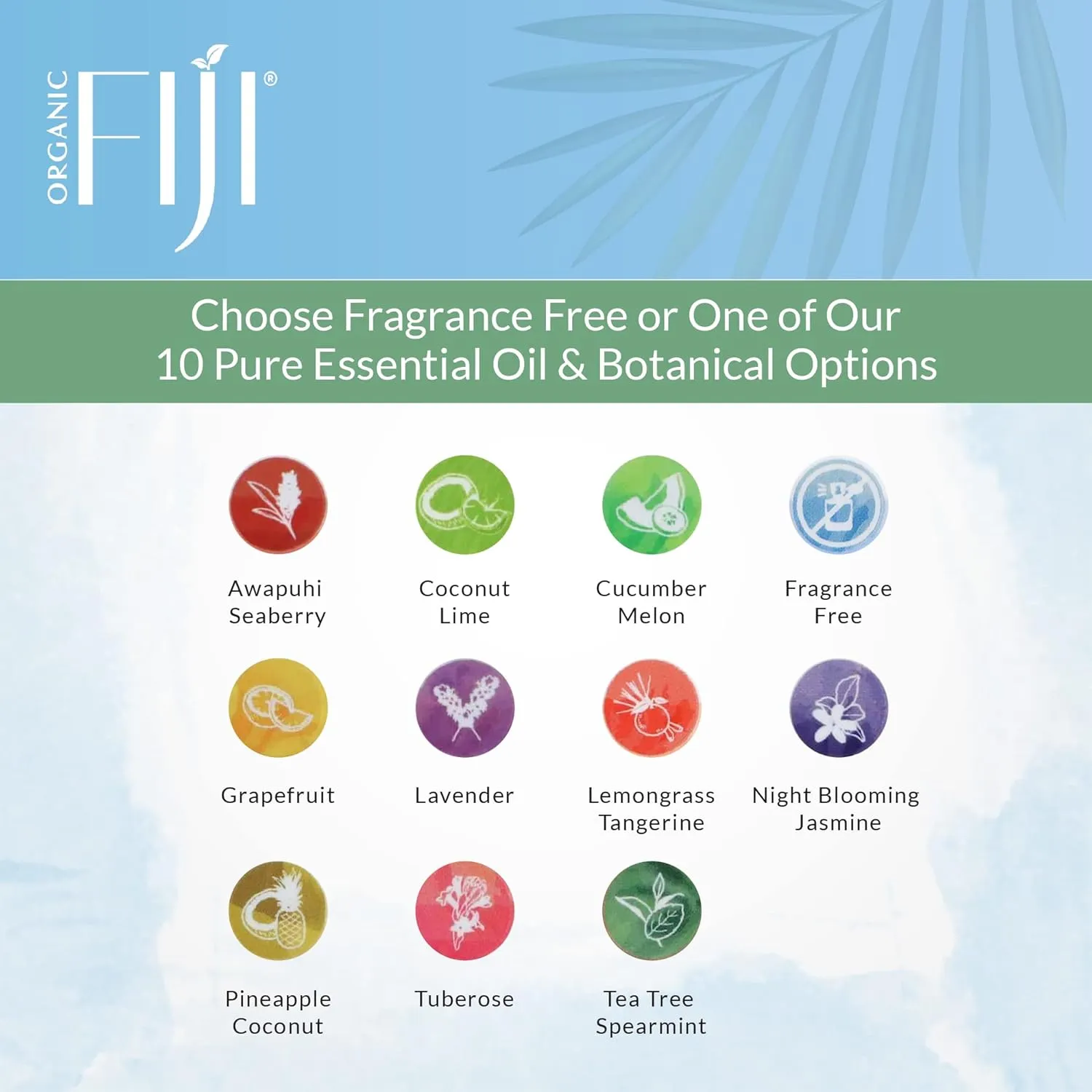 Coco Fiji Face & Body Lotion Infused With Coconut Oil | Lotion for Dry Skin | Moisturizer Face Cream & Massage Lotion for Women & Men | Fragrance Free 12 oz, Pack of 1