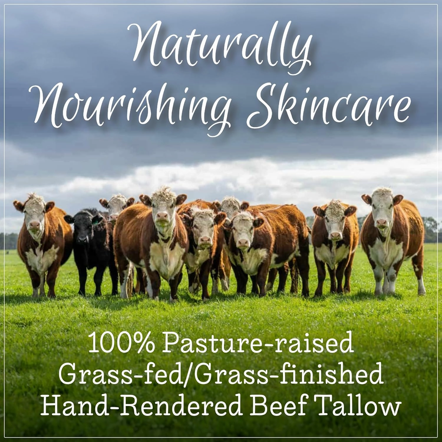 Handmade Whipped Tallow Balm, 100% Grass-fed Beef Tallow for Skin w/Organic Jojoba Oil, Natural Tallow Face Moisturizer, Relief For Dry Skin, Eczema, Baby, Chafing - 2 oz (Lavender & Vanilla)