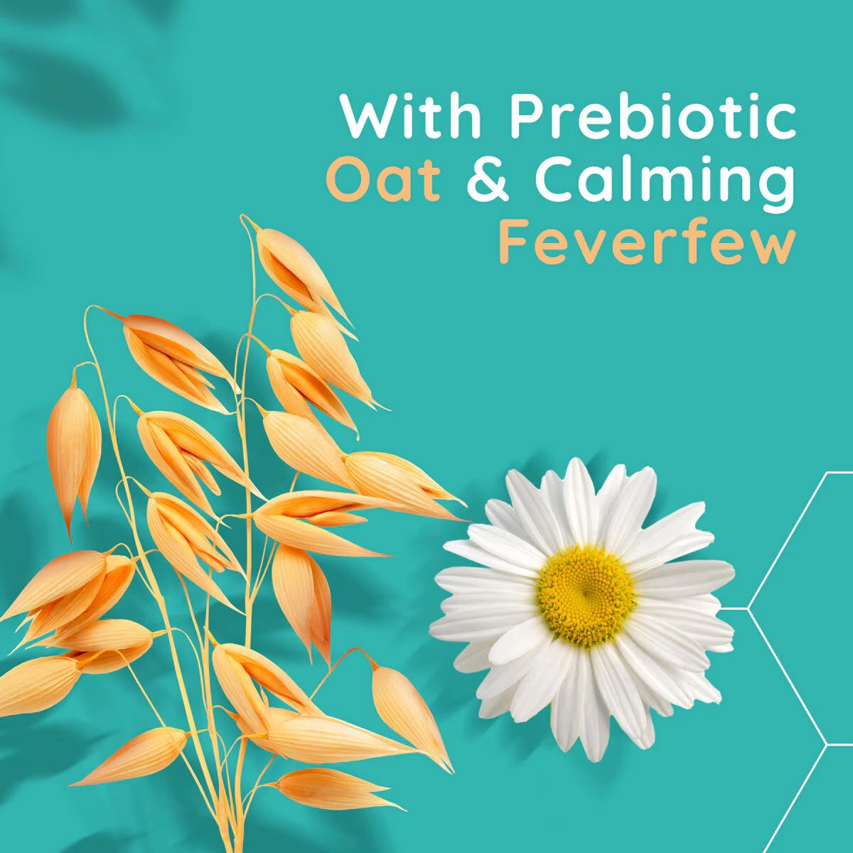 Hydrating Oat Gel Moisturizer for Sensitive Skin - Fragrance-Free & Non-Comedogenic