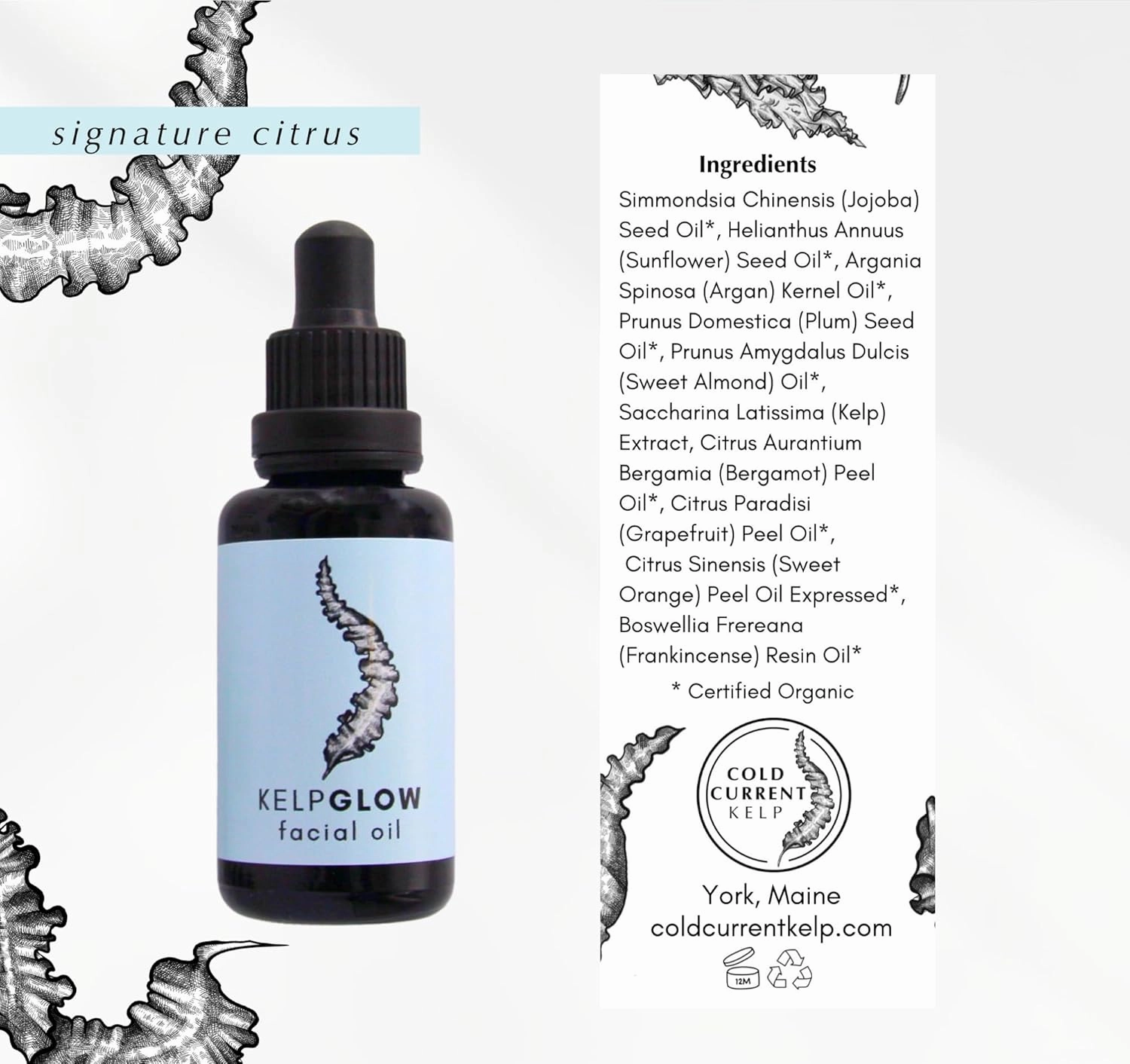 KelpGlow Facial Oil, Maine-Grown Kelp 30ml (Signature Citrus)