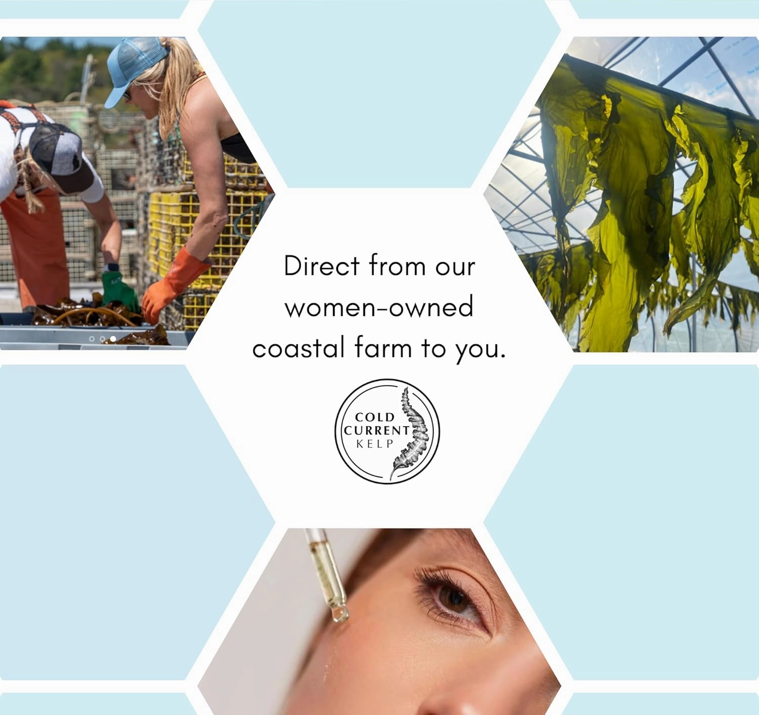 KelpGlow Facial Oil, Maine-Grown Kelp 30ml (Signature Citrus)