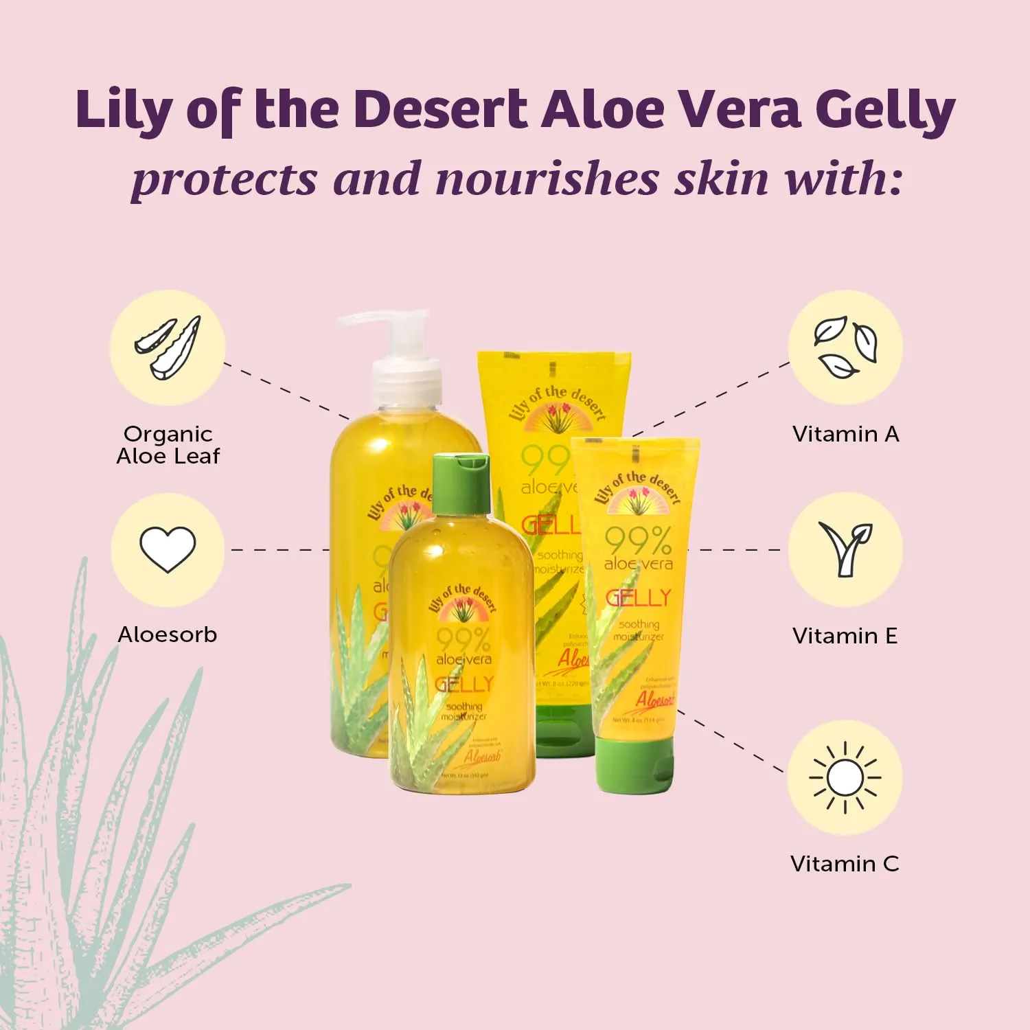 Lily Of The Desert Gelly Moisturizer - 99% Organic Aloe Vera Gel for Skin, After Sun Care with Aloe, Vitamin E Oil, and Vitamin C for Sunburn Relief, 12 Fl Oz (Pack of 2)