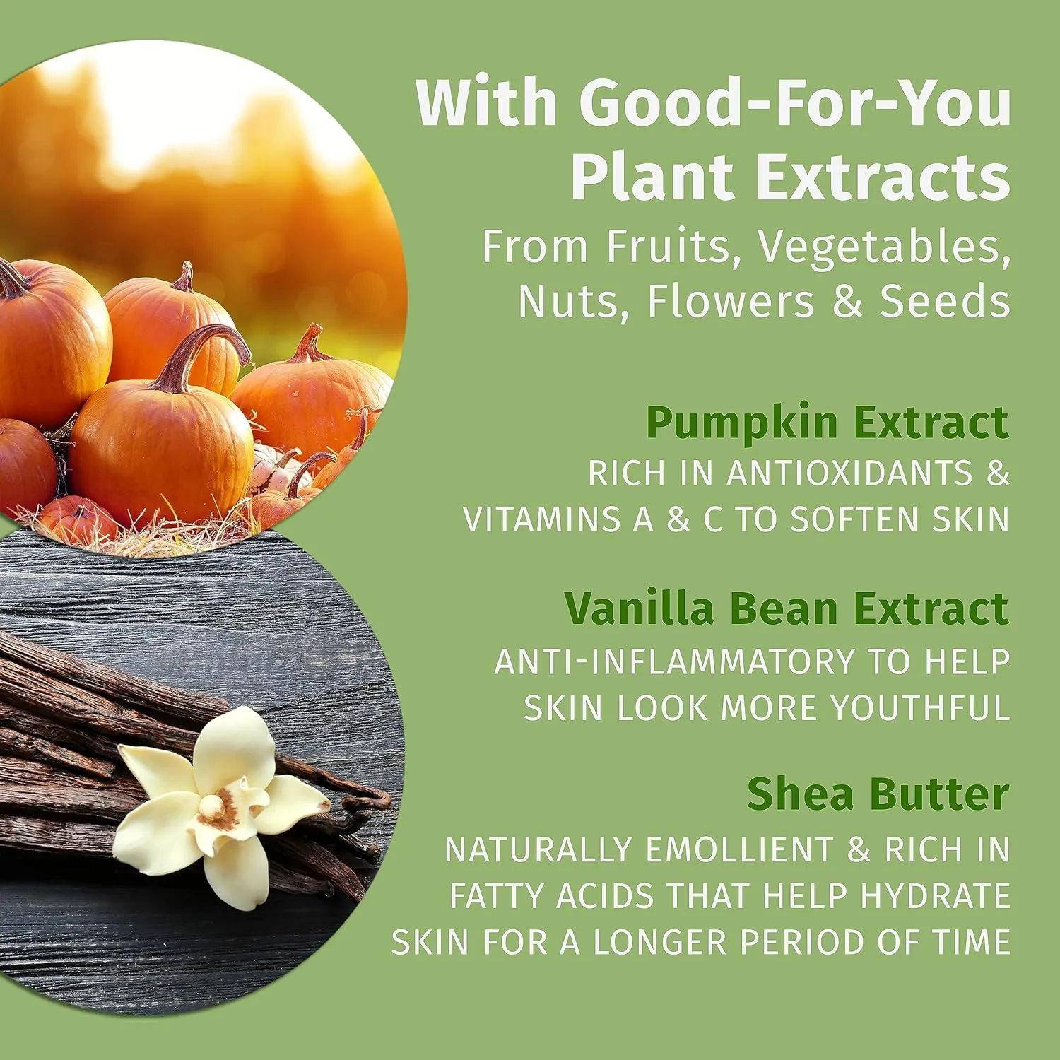 Limited Edition Pumpkin Spice & Vanilla Chai Herbal Moisturizing Body Lotion (17 oz) – Fall Scented for Women or Men with Dry or Sensitive Skin - Hydrating Moisturizer for Daily Radiance