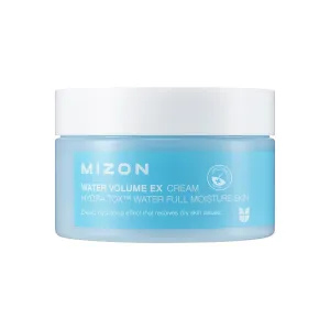 MIZON Water Volume EX Cream, Moisture Cream, Deep Hydration Cream, Soft Skin, Korean skin care (100ml/ 3.38 fl oz)