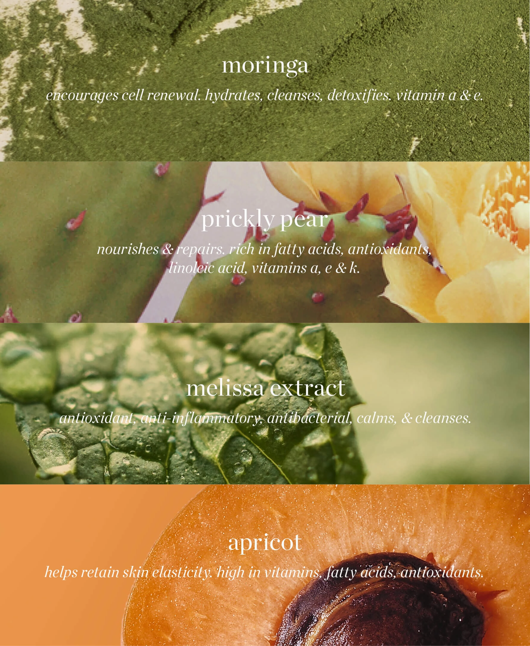 Moringa All-Beauty Cream