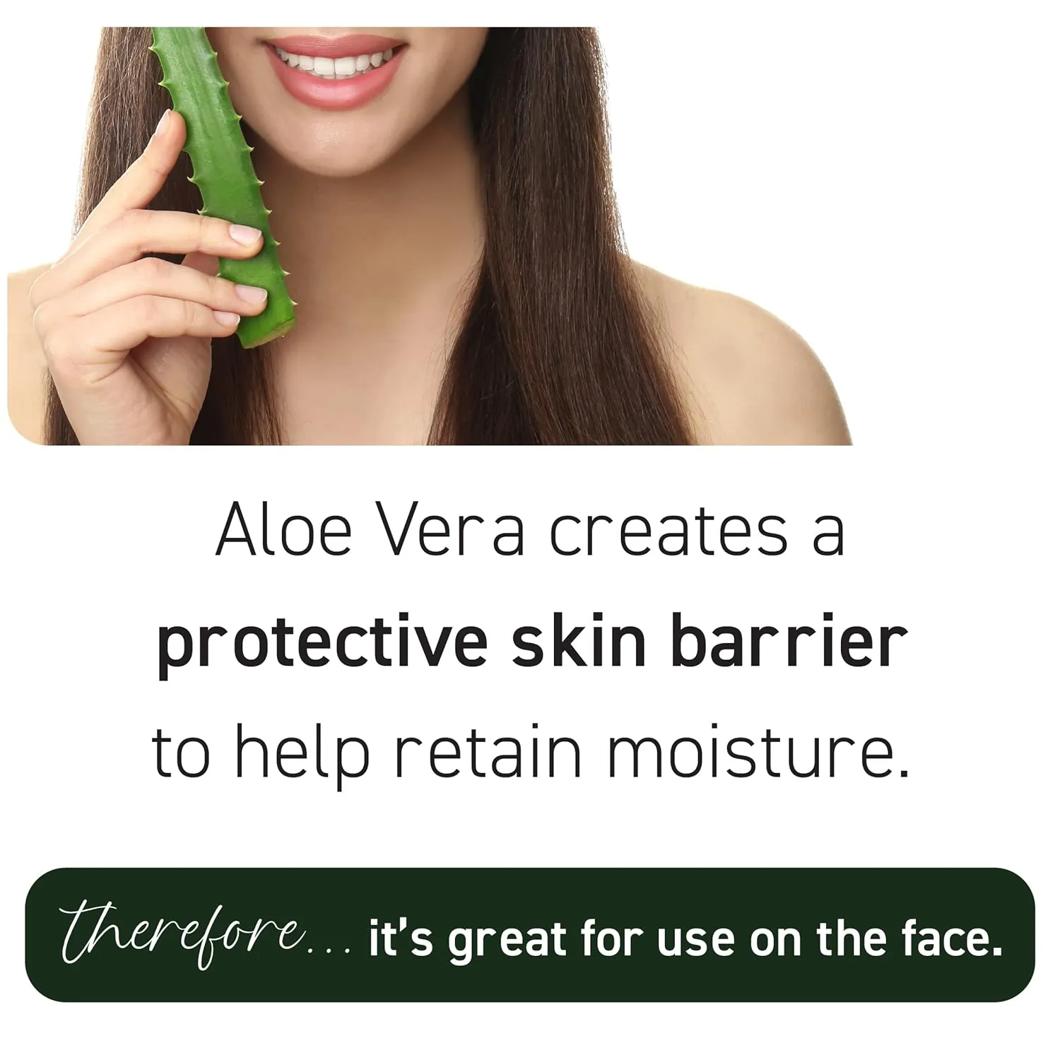 New York Biology Aloe Vera Gel for Face, Skin and Hair - Infused with Tea Tree Oil - From Fresh Aloe Vera Plant - Moisturizing Aloe Vera for Sunburn Relief and Dry Skin - 16.9 Fl Oz - Pack of 2