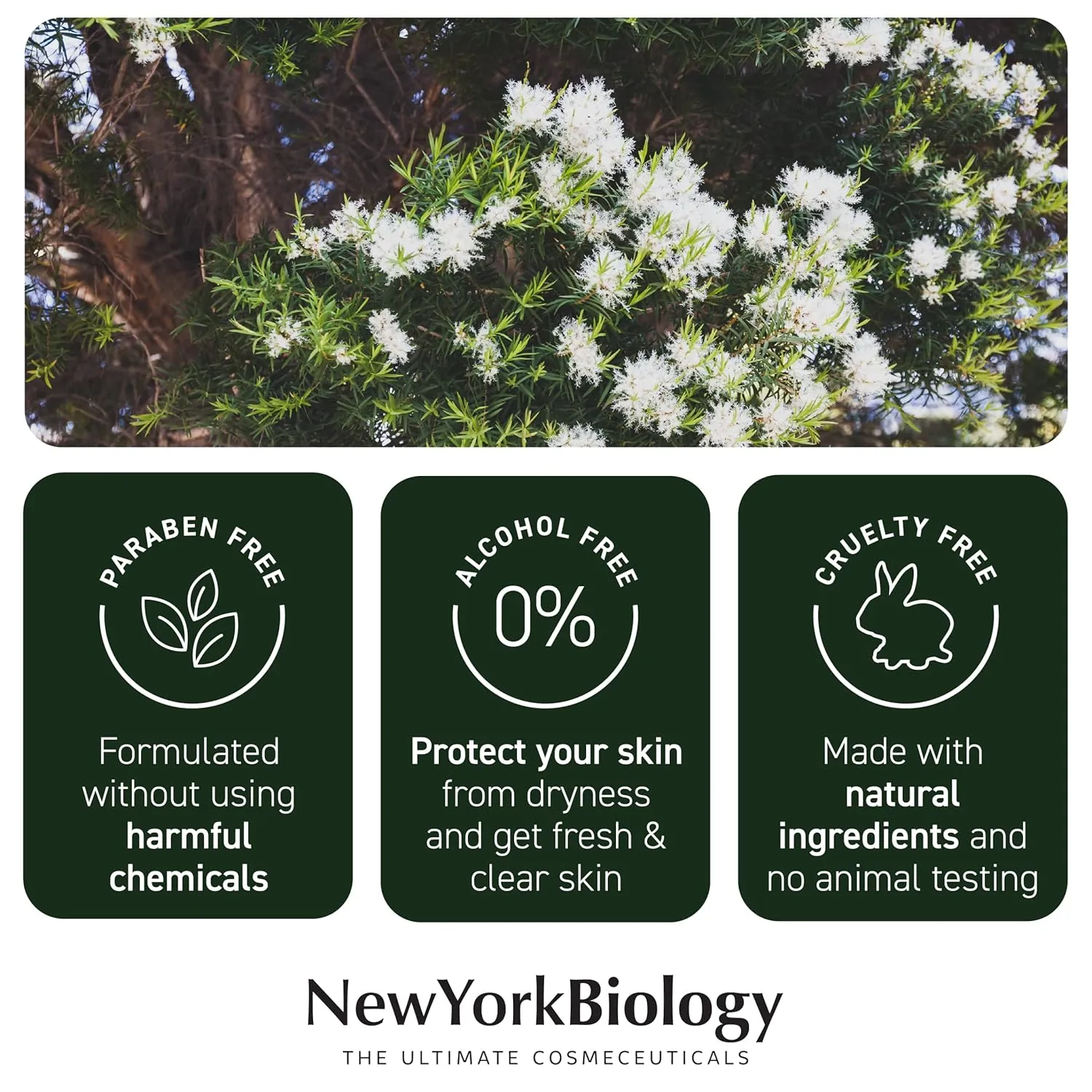 New York Biology Aloe Vera Gel for Face, Skin and Hair - Infused with Tea Tree Oil - From Fresh Aloe Vera Plant - Moisturizing Aloe Vera for Sunburn Relief and Dry Skin - 16.9 Fl Oz - Pack of 2