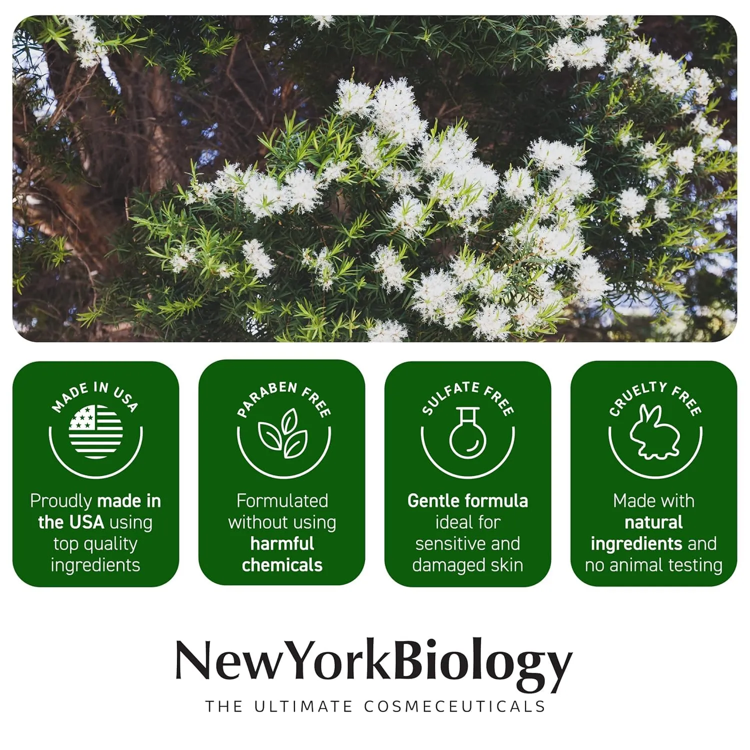New York Biology Tea Tree Oil Foot Cream for Dry Cracked Feet, Athletes Foot, Nail Fungus, Jock Itch, Ringworm, Cracked Heels and Itchy Skin - Foot Cream - 8 oz - Pack of 2