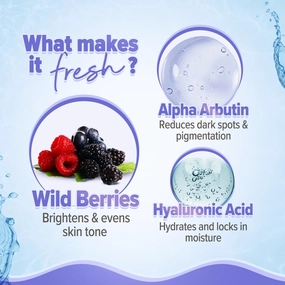 New Oil-Free Face Moisturizer, Hyaluronic Acid and Alpha Arbutin, 100g