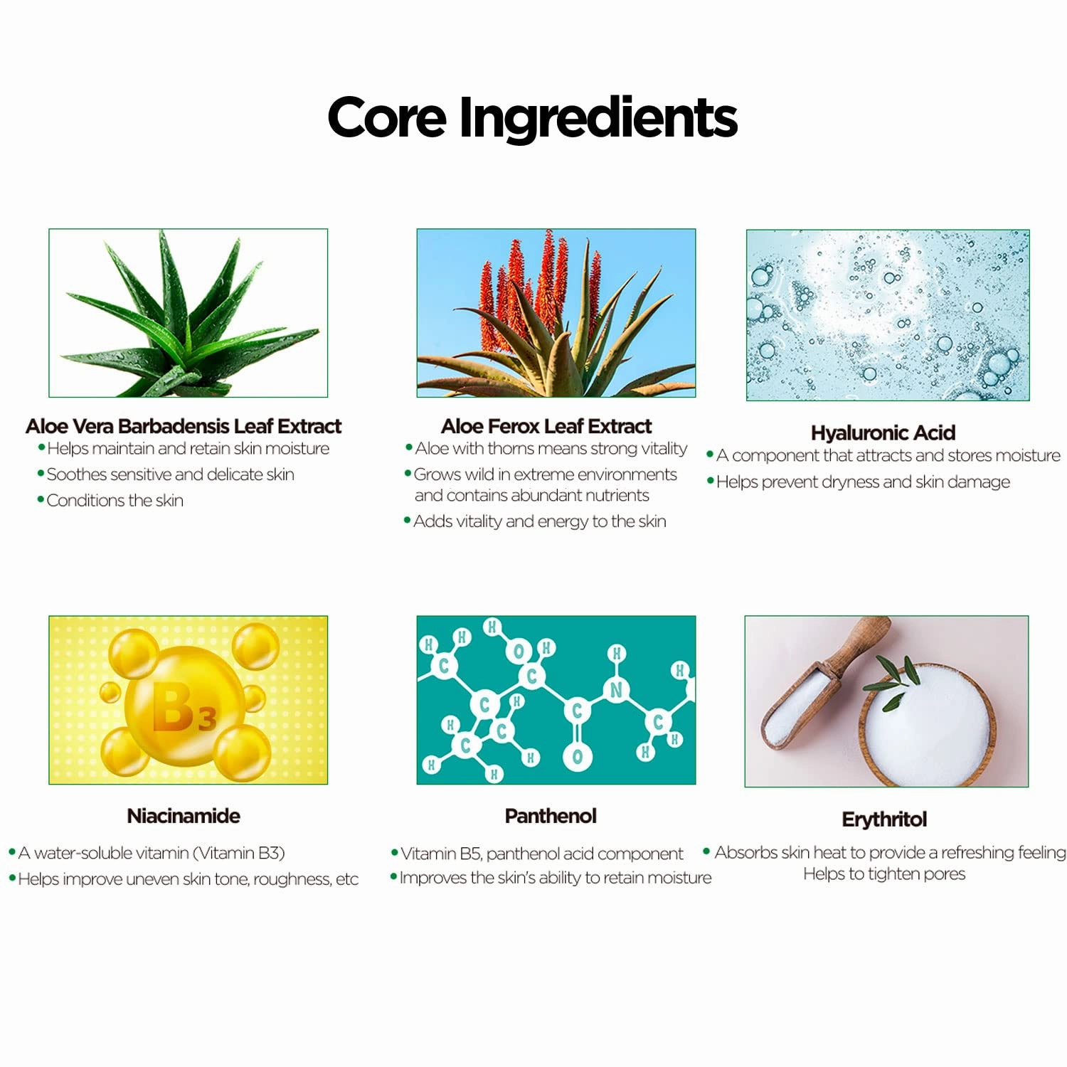 Organic Aloe Vera Soothing Gel - Natural Moisturizer for Skin and Hair, Effective for Sunburns, Razor Burns, and More - Gentle, Non-Greasy Formula, Skincare [Made in Korea]