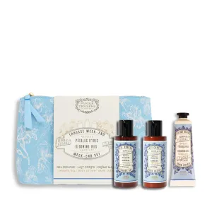 Panier des Sens – Blooming Iris Set for Women – Body Lotion   Shower Gel   Hand Cream - Gift & Birthday Gift for Her - Body Care Kit with 96% Natural Ingredients – Self Care Gifts for women