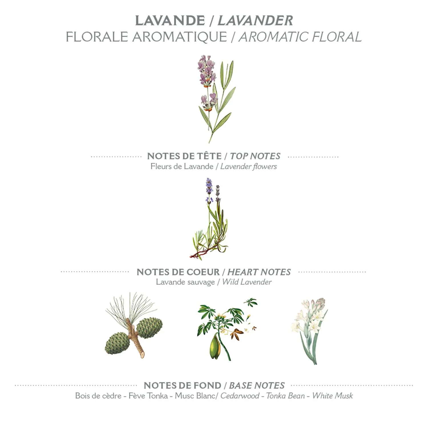 Panier des Sens – Lavender Hand & Body Lotion for Dry Skin - Hydrating Body Cream for Women- Nourishing Fluid Body Moisturizer with Shea Butter & Olive Oil 97% Natural Ingredients Body Care 8.45 Floz