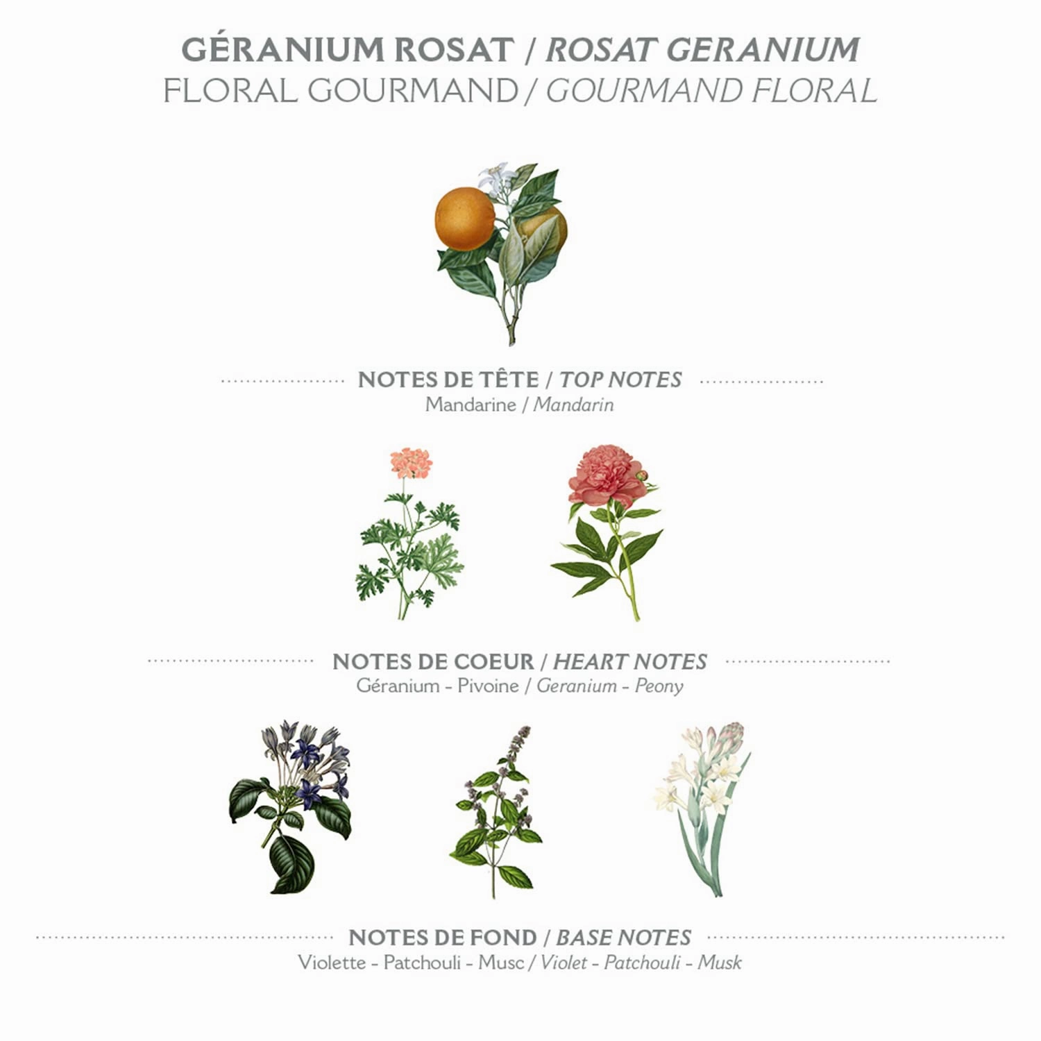 Panier des Sens –Geranium Hand & Body Lotion for Dry Skin - Hydrating Body Cream for Women - Nourishing Fluid Body Moisturizer Shea Butter & Olive Oil - 97% Natural Ingredients Body Care - 8.45 Floz