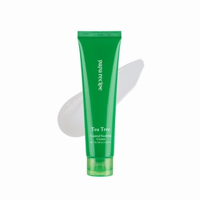 Papa Recipe Tea Tree Control Soothing Cream, Soothing Face Moisturizer for Sensitive and Dry Skin, Korean Skincare, 100ml 3.38fl oz