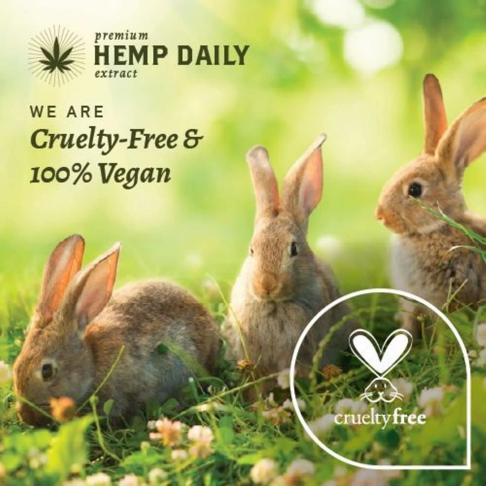 Premium Hemp Daily Triple Intensive Cream - Muscle, Knee, Joint, Back, Neck and Shoulder Topical Rub - Organic | 1.7 Ounces (Original Mint, Pack of 3)