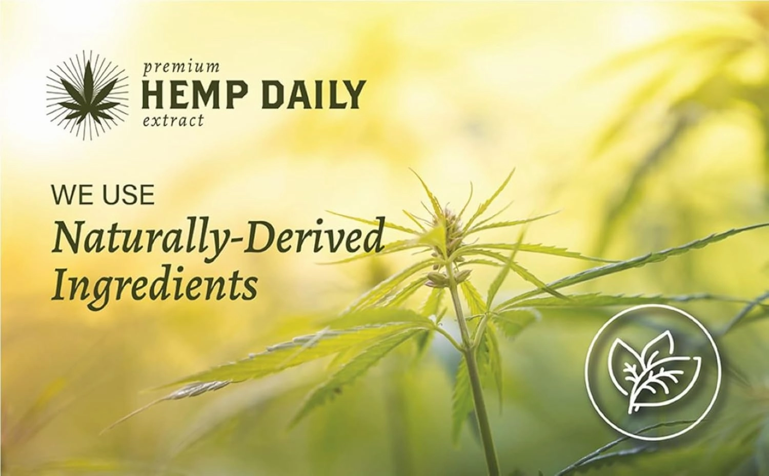 Premium Hemp Daily Triple Intensive Cream - Muscle, Knee, Joint, Back, Neck and Shoulder Topical Rub - Organic | 1.7 Ounces (Original Mint, Pack of 3)