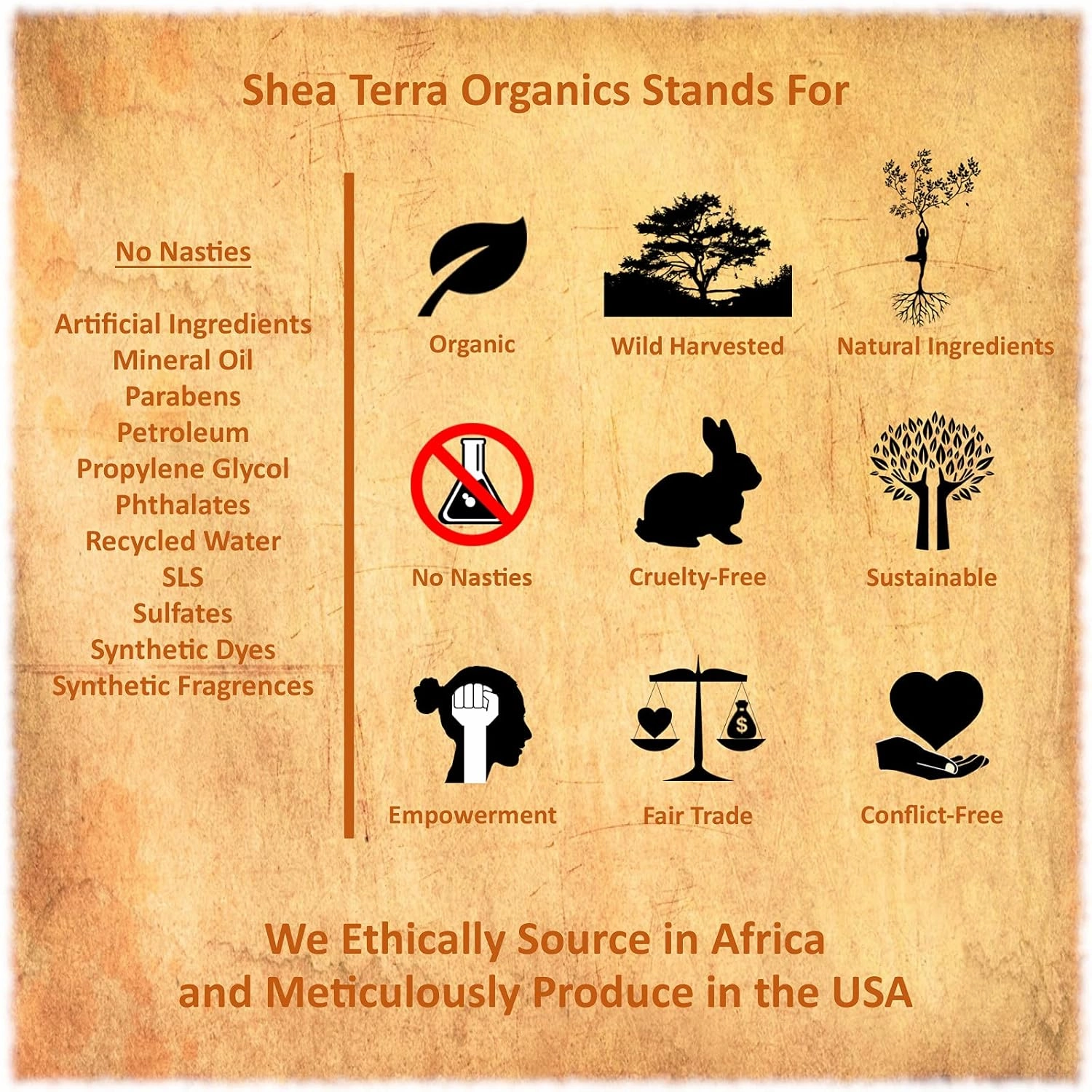 Shea Terra Organics Nilotik’ Shea Butter Ultra-Rich Lotion – Mongongo Banana | Natural Daily Moisturizer High in Vitamins & Fatty Acids with Antioxidant Properties to Soften & Protect Dry Skin– 16 oz