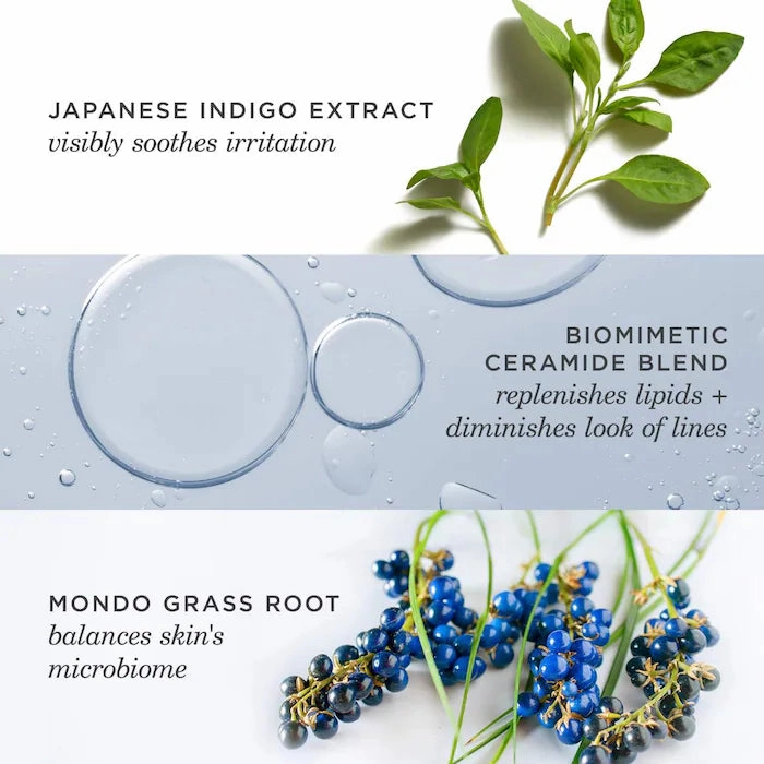 Tatcha Indigo Overnight Repair 50ml