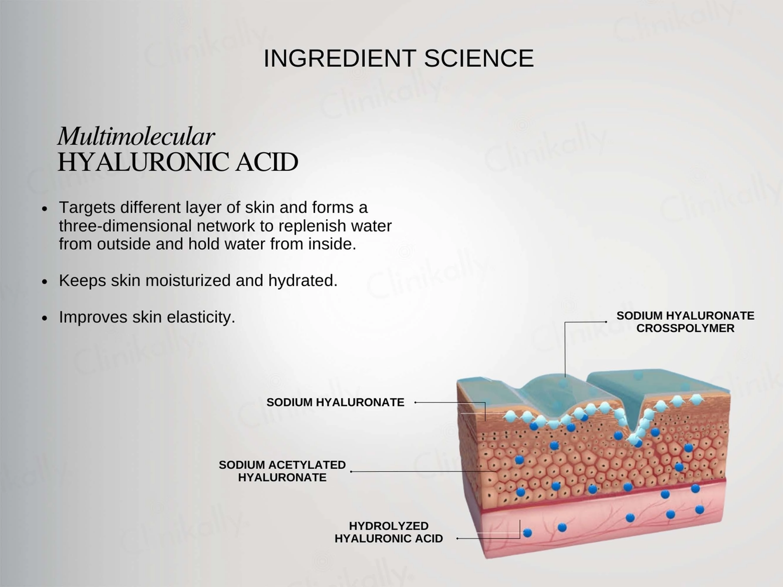 The FormulaRx Malazia Hydra Veil Gel Moisturizer
