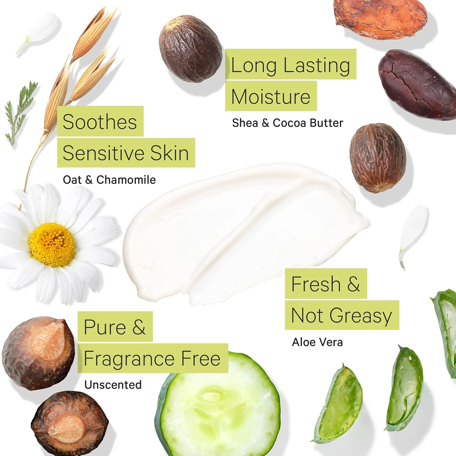 Tree to Tub Unscented Shea Butter Body Lotion for Dry Skin - Fragrance Free Sensitive Skin Lotion for Women & Men, Vegan Body Moisturizer w/Organic Aloe Vera, Cocoa Butter, Natural Colloidal Oatmeal