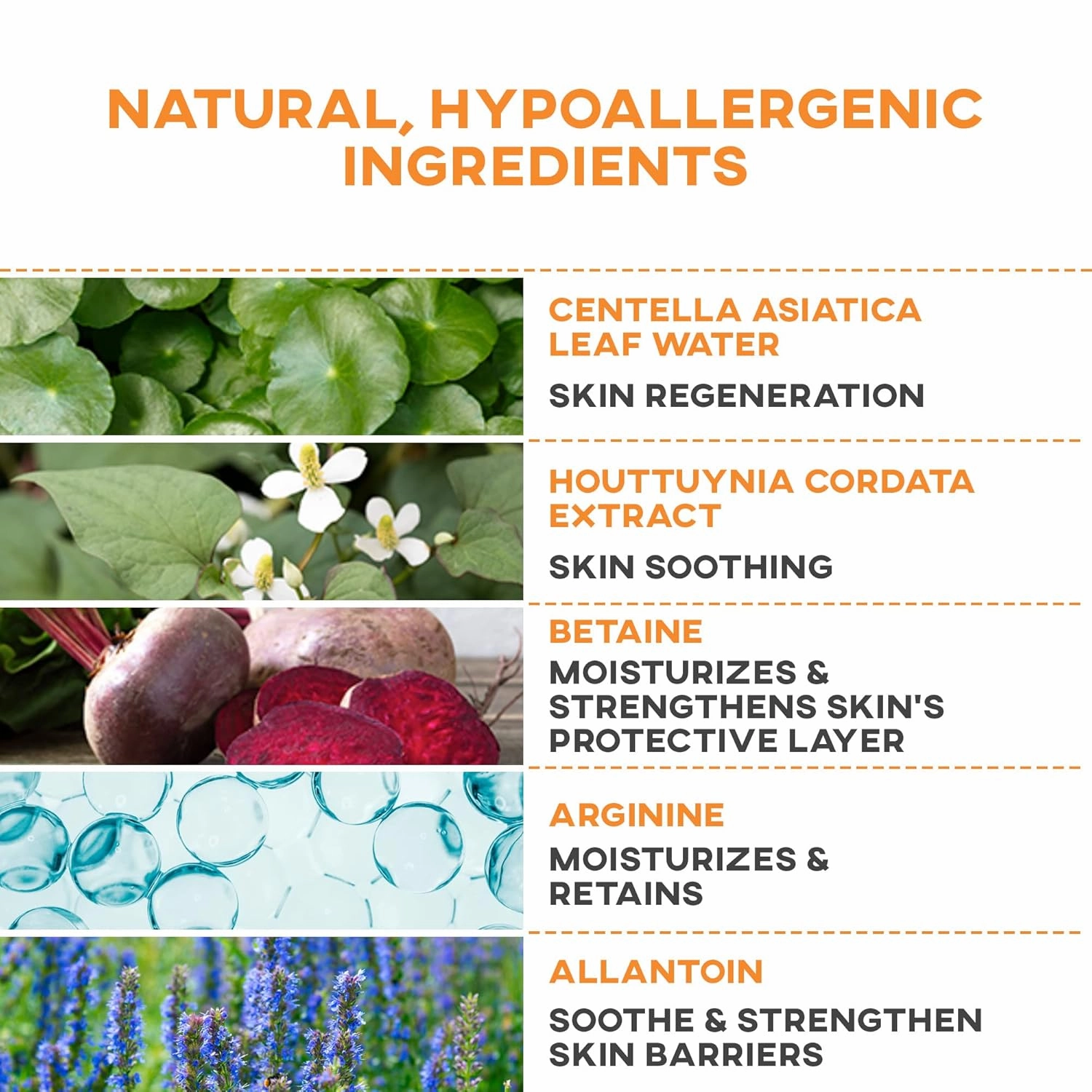 Vegan Watery Moisturizer 2.71 fl. oz.| Face Hydrating Moisturizer & Face Cream | Face Moisture Balance for Oily & Sensitive Skin | Soothing Centella Asiatica Cream & Facial Moisturizer